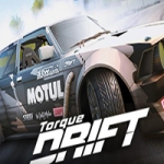 扭矩漂移/Torque Drift